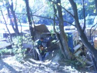 skidanje grana i raščišćavanje šume da bi se došlo do kamiona